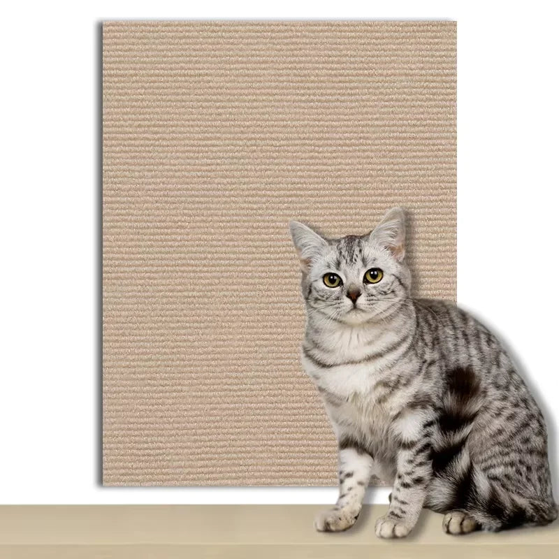 Chat utilisant la protection anti-griffures en sisal — Félia