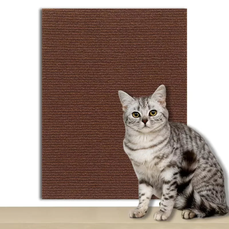 Tailles disponibles de la protection anti-griffures sisal — Félia
