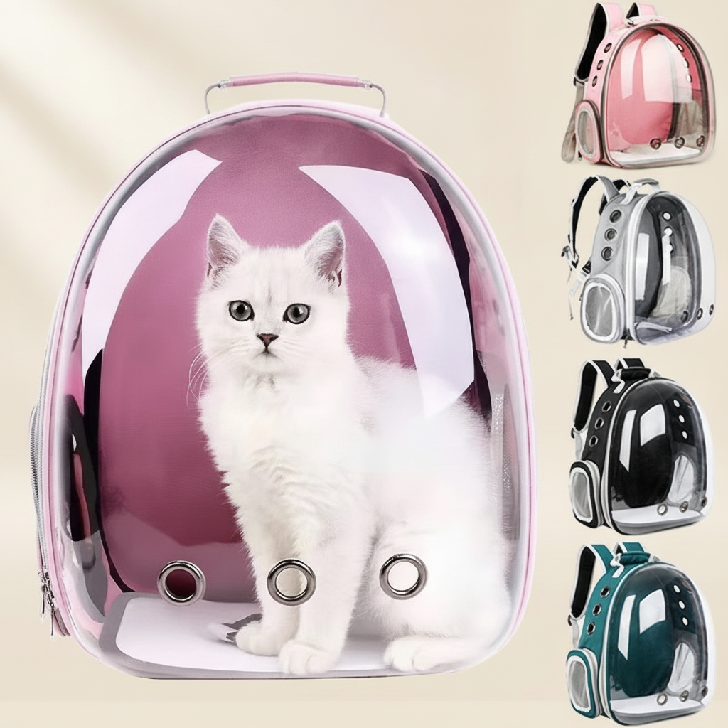 Sac de transport bulle pour chat Félia, chat visible dans le hublot