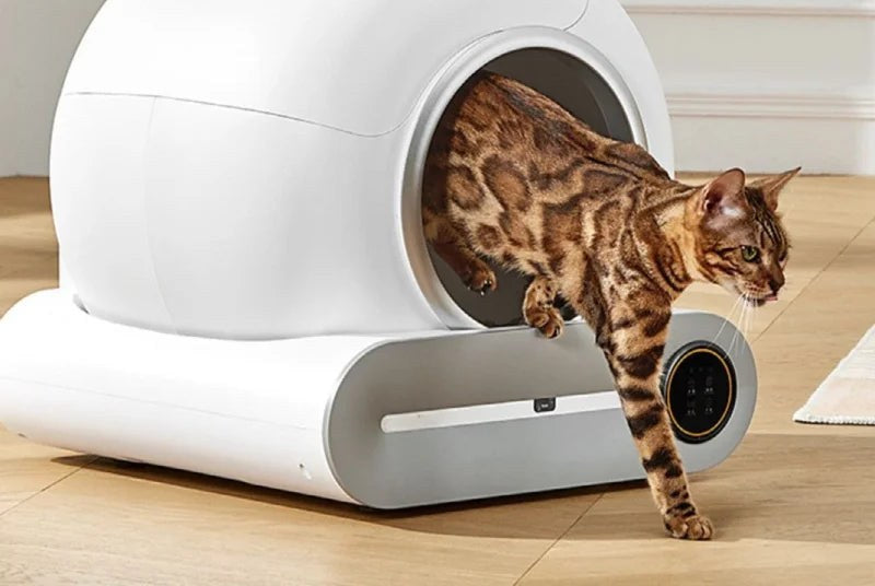 Chat quittant la litière autonettoyante après un cycle de nettoyage